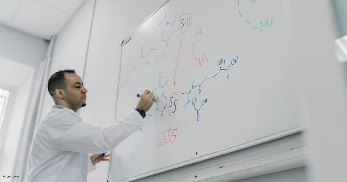 Start-up or Licence? How University Research Makes the Leap to Market